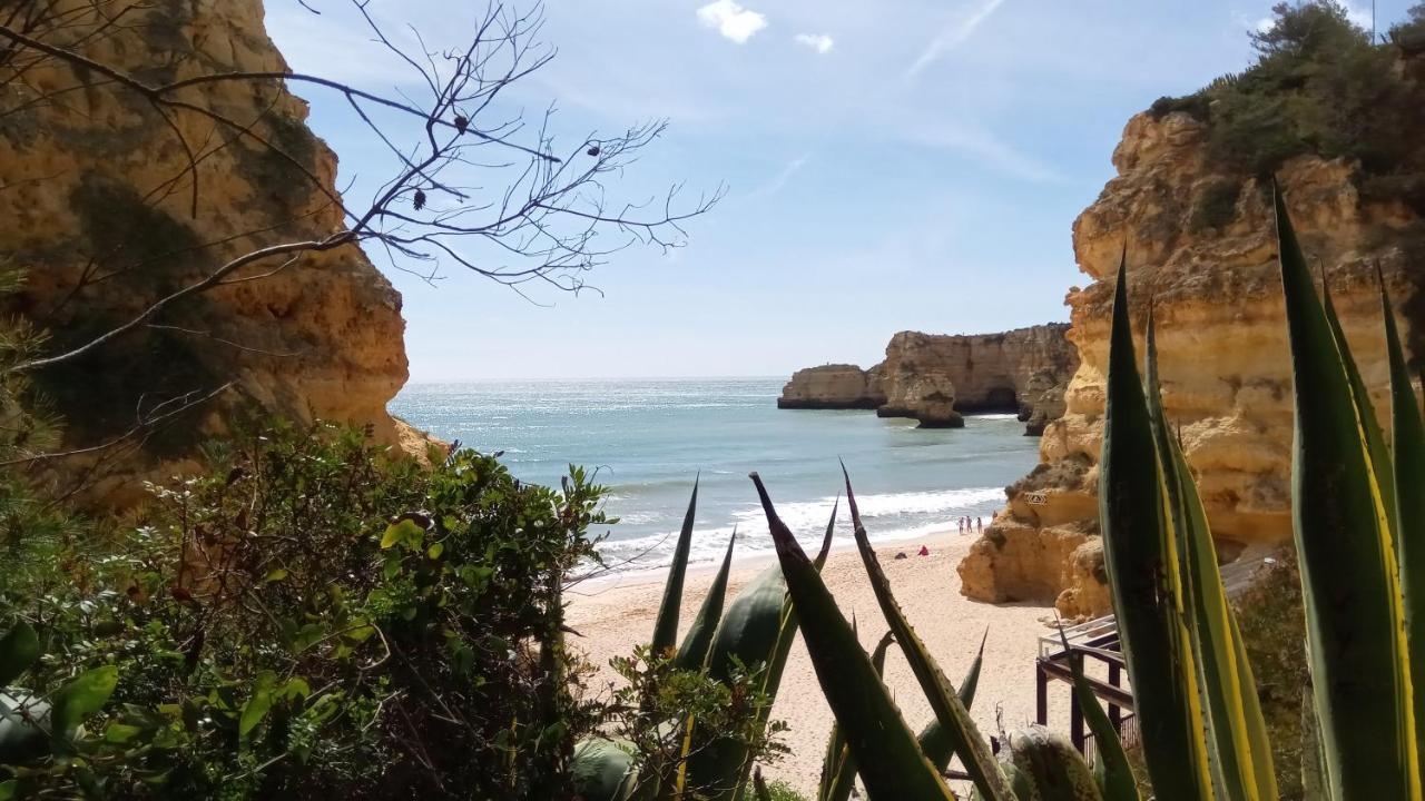 Albufeira Prime Apartment Eksteriør billede